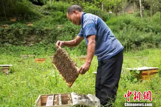 通讯：三峡库区深度贫困乡的脱贫嬗变